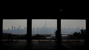 La pollution des feux de for&ecirc;t canadiens suffoque le nord-est des Etats-Unis