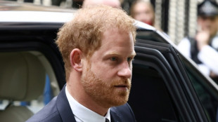 Prinz Harry scheitert mit Klage f&uuml;r Polizeischutz bei Gro&szlig;britannien-Besuchen