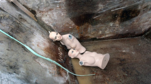 Detienen a un ladr&oacute;n en Polonia que se hac&iacute;a pasar por maniqu&iacute;