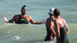 Wild swimming as European open water races end in chaos