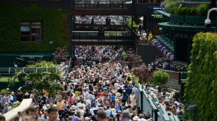 Tous des moutons ? La Cité des Sciences réconcilie avec la foule