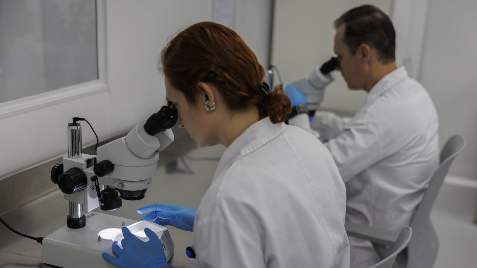  Lesioni al midollo spinale, la ricerca continua su un chip 