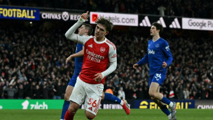 Arsenal derrota Everton (1-0) e acelera rumo ao t&iacute;tulo; Newcastle vence Chelsea