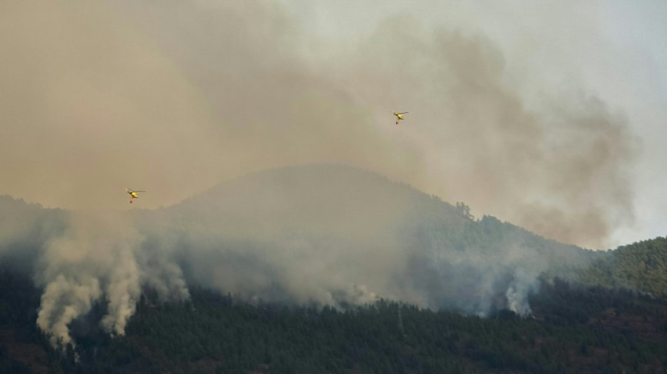 Evoluci&oacute;n "favorable" del incendio en isla espa&ntilde;ola de Tenerife