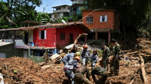 Glissements de terrain au Br&eacute;sil: les recherches se poursuivent, le bilan augmente