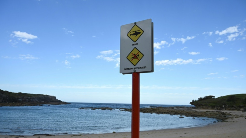  Homem morre em praia de Sydney após provável ataque de 'grande tubarão' 