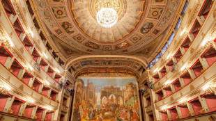 I teatri condominiali riconosciuti patrimonio dell'umanità Unesco