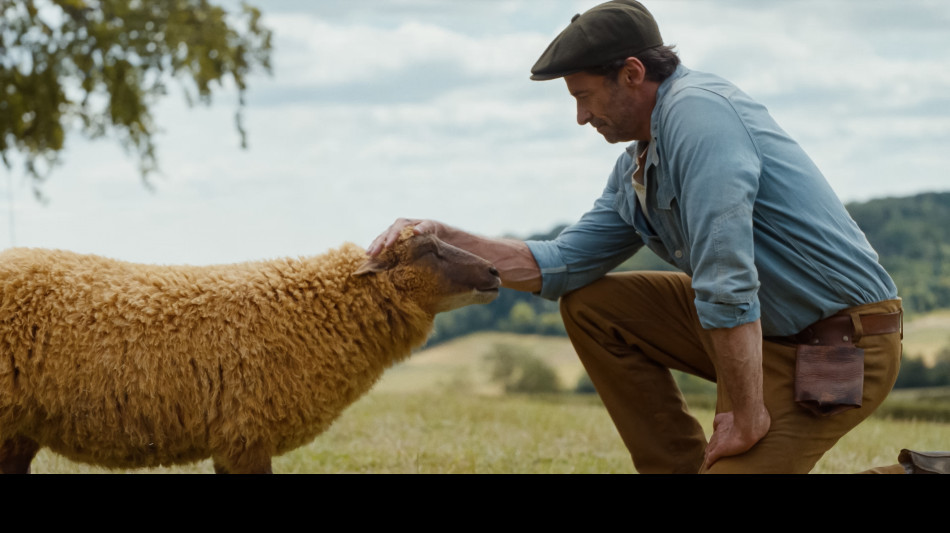 Jackman, Pecore sotto copertura, commedia gialla tra Knives out e Babe