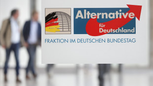 Tribunale tedesco sospende la definizione di Afd come gruppo estremista