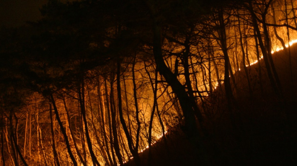 South Korea wildfires 'largest on record': disaster chief