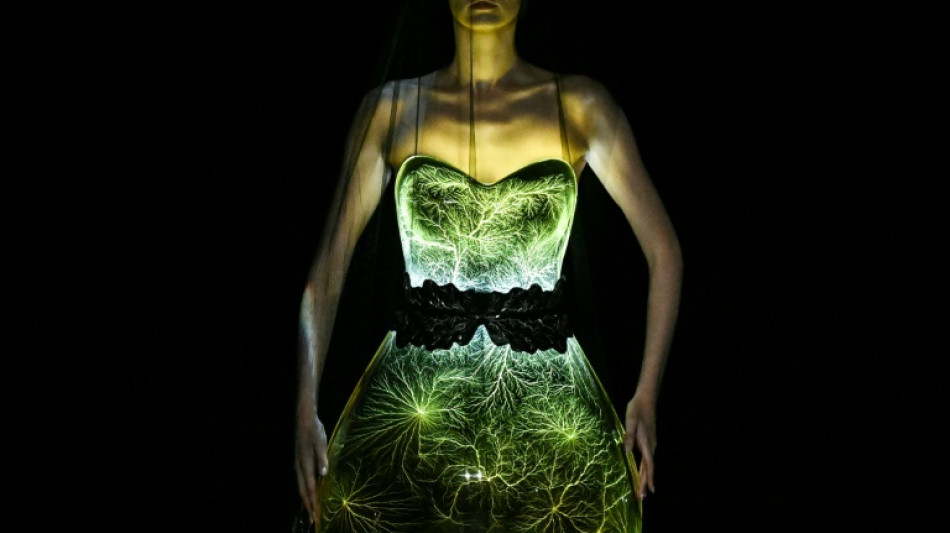  Memorable moments from Paris Haute Couture Week 
