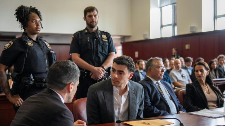  'Normal guy' turned killer over US insurance industry grievances 