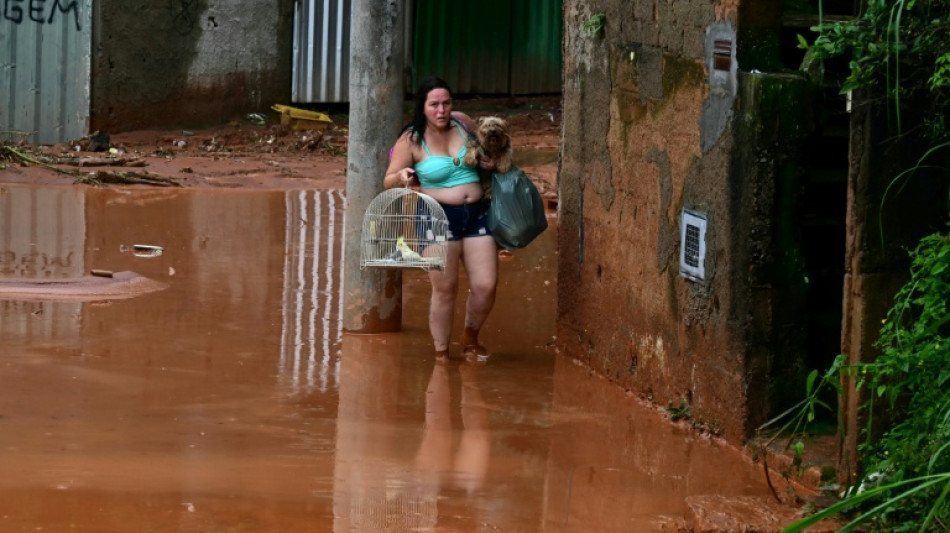  Dogs, birds and a calf rescued after deadly rains in Brazil 