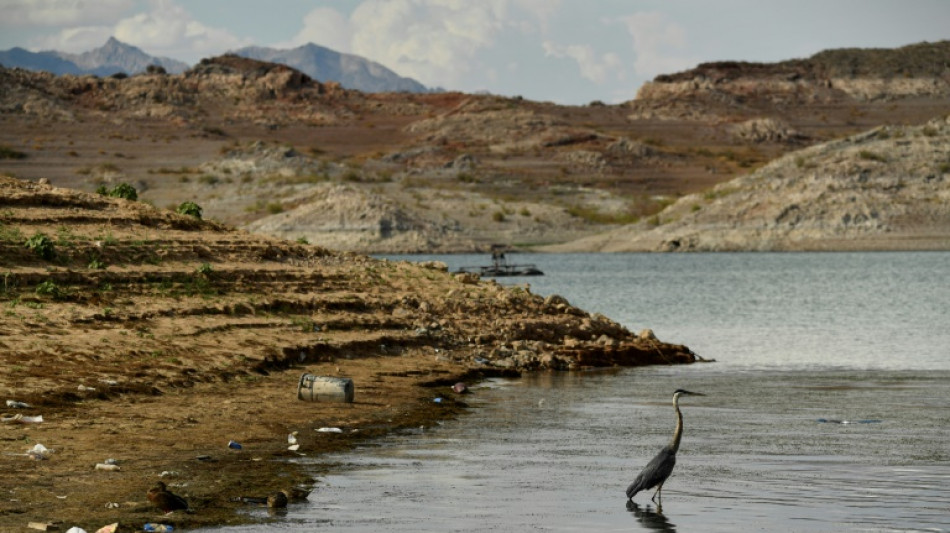 EEUU recorta cuotas de agua del R&iacute;o Colorado a algunos estados y a M&eacute;xico