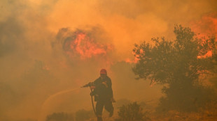 L'Europe a subi en 2023 un record de jours de "stress thermique extr&ecirc;me"