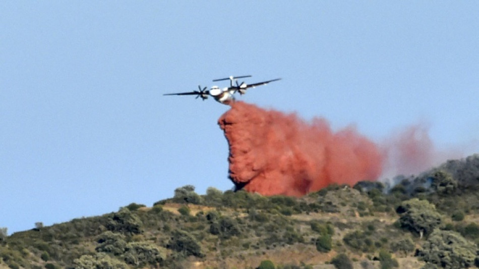 Pyr&eacute;n&eacute;es-Orientales: premier grand incendie de l'ann&eacute;e, plus de 900 ha parcourus