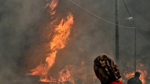 L'h&eacute;misph&egrave;re nord aborde le pic de l'&eacute;pisode caniculaire