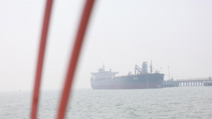 Premier Pakistan, 'serve un cessate il fuoco di due settimane per accordo'