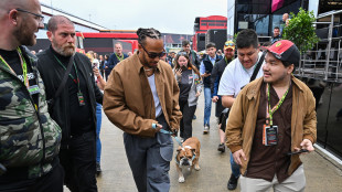 F1: in ansia per la salute del cane, Hamilton salta test Mugello