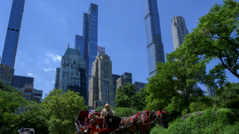  Nueva York proh&iacute;be los carruajes de Central Park tras 20 a&ntilde;os de debate 