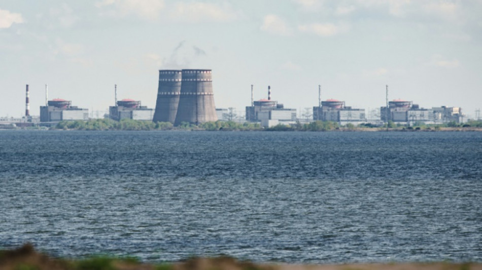 Ucrania prepara la reconexi&oacute;n de la central de Zaporiyia a la red el&eacute;ctrica