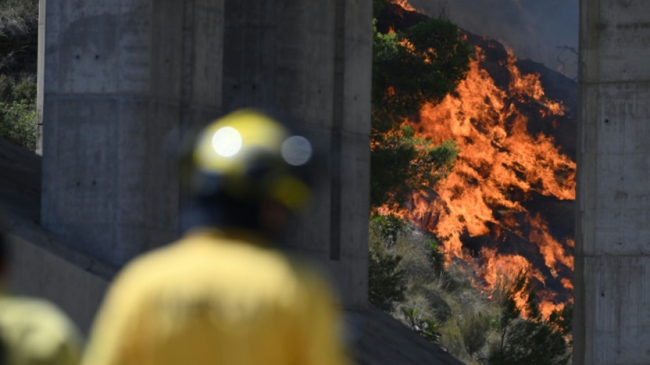  Foreigners among 12 killed in ferocious Spain wildfire 