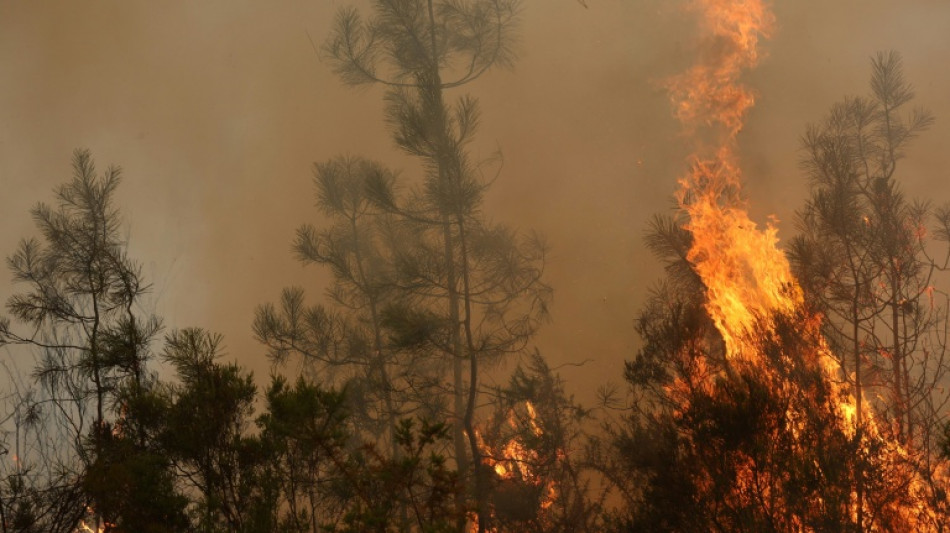  El fuego acecha Burdeos y obliga a evacuar a 325.000 personas en Francia y Espa&ntilde;a 