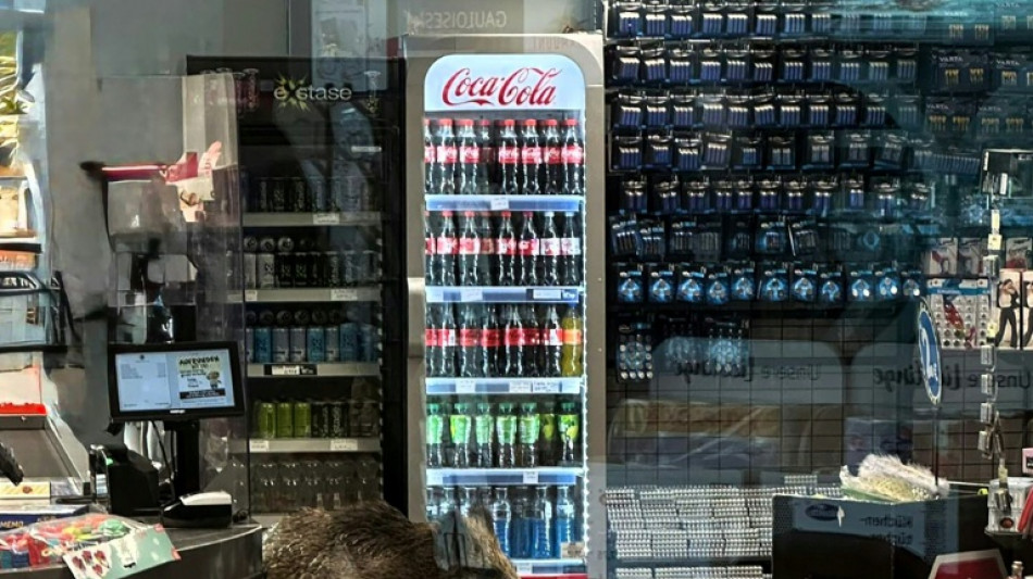  Un jabal&iacute; invadi&oacute; un centro comercial de Berl&iacute;n 