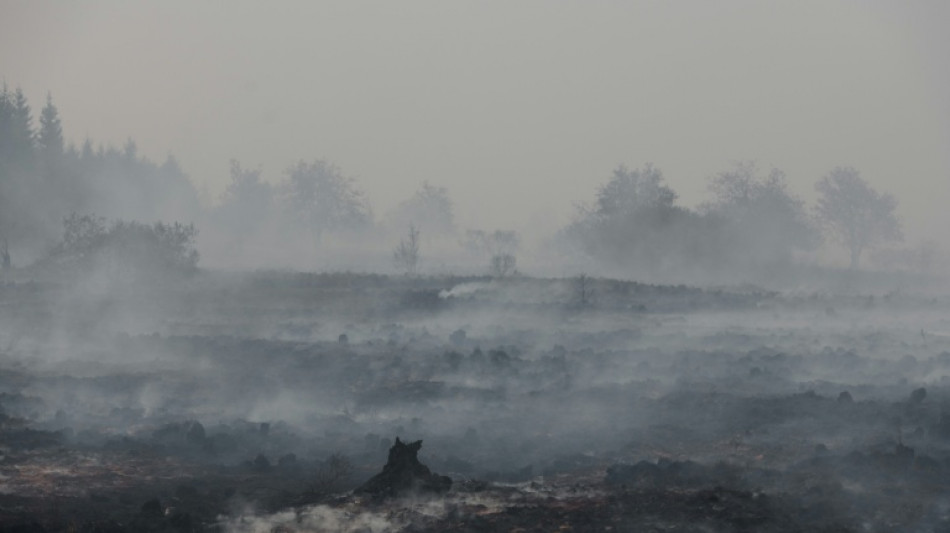 Firefighters push to 'encircle' Belgian wildfire 
