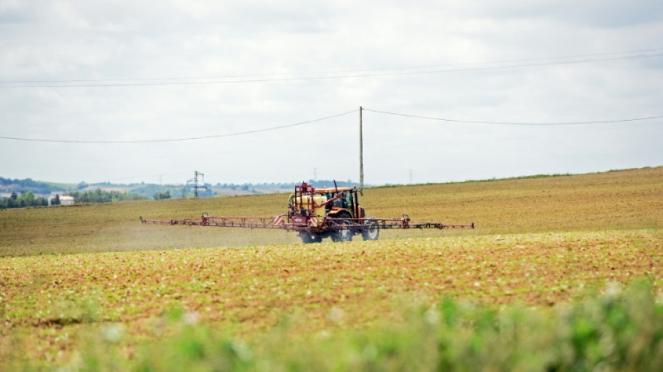 Des pesticides pr&eacute;sents dans l'air un peu partout en France, selon Atmo France