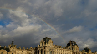 Louvre says hundreds of works damaged by water leak 