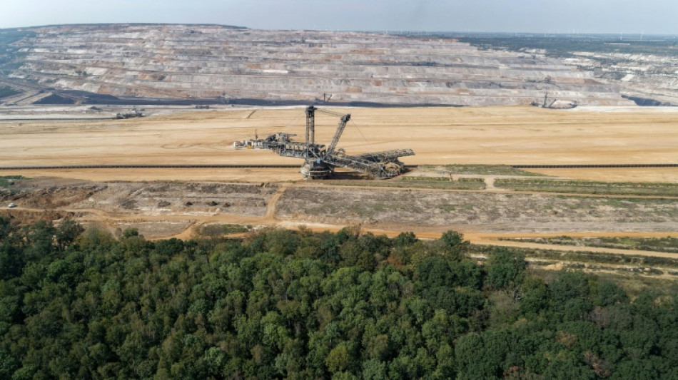  Streit um enteignete Wiese im Tagebau Hambach: Umweltverband scheitert vor Gericht 