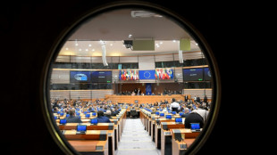 EU lawmakers back proxy voting for pregnant women, new mothers