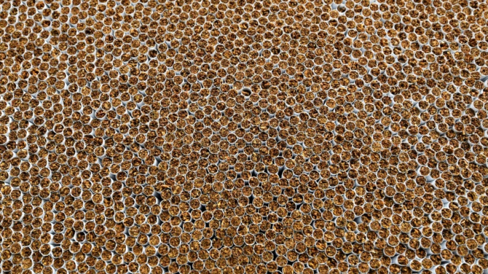  Drei Festnahmen bei Durchsuchungen wegen millionenschweren  Zigarettenschmuggels 