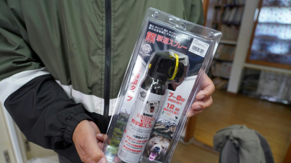  Japan deploys bear cameras in moutains as attacks surge 