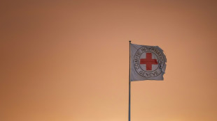 Cruz Roja convoca una reuni&oacute;n mundial sobre abusos del derecho internacional