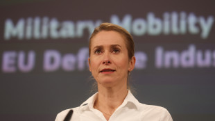 Kallas, 'per funzionare pace deve coinvolgere Europa-Kiev'