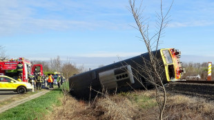 Cinco muertos en una colisi&oacute;n entre un tren y un veh&iacute;culo en Hungr&iacute;a
