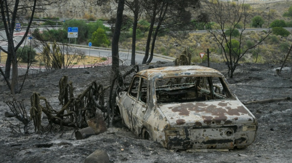  Three Britons among foreign Spanish wildfire victims 