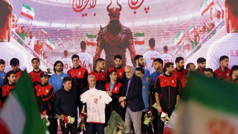  Iran to hold pre-World Cup training camp in Turkey: media 