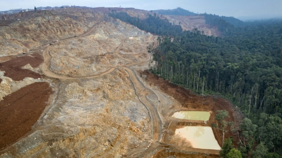  Nickel rush for stainless steel, EVs guts Indonesia tribe's forest home 