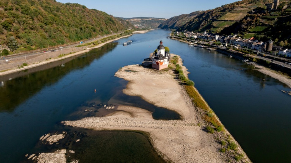  Low Rhine weighed on German growth: central bank 