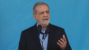 Presidente Iran,Hezbollah non pu&ograve; star solo contro Israele