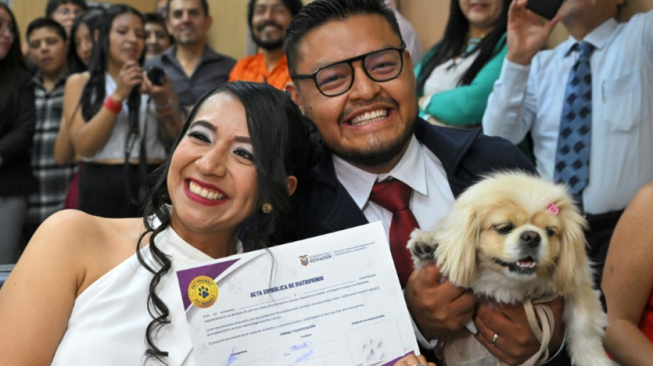  Till death do us bark: Pets serve as witnesses at Ecuador weddings 
