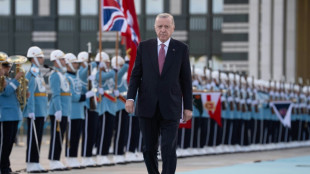 Turkey seeks to host next COP as co-presidency plans falter