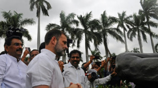 Inde: le principal chef de l'opposition Rahul Gandhi r&eacute;int&eacute;gr&eacute; au Parlement