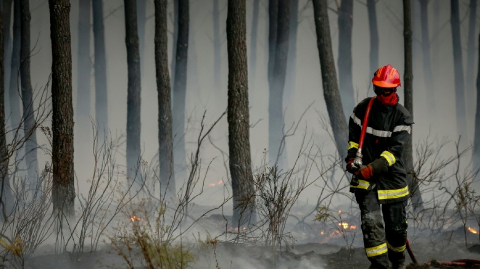  Beh&ouml;rden: Waldbrandsituation im S&uuml;dwesten Frankreichs "stabil" 