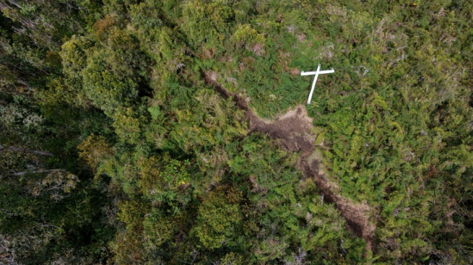 Brazil team returns to Colombian site of doomed jet crash