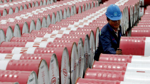 Il petrolio in rialzo a New York a 56,27 dollari