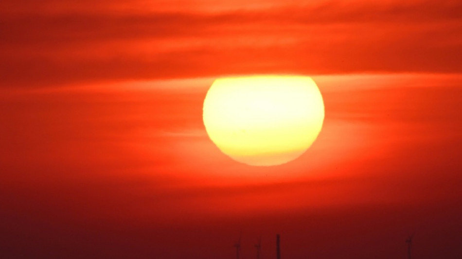  Germany reports record 14,000 heat-related deaths this summer 